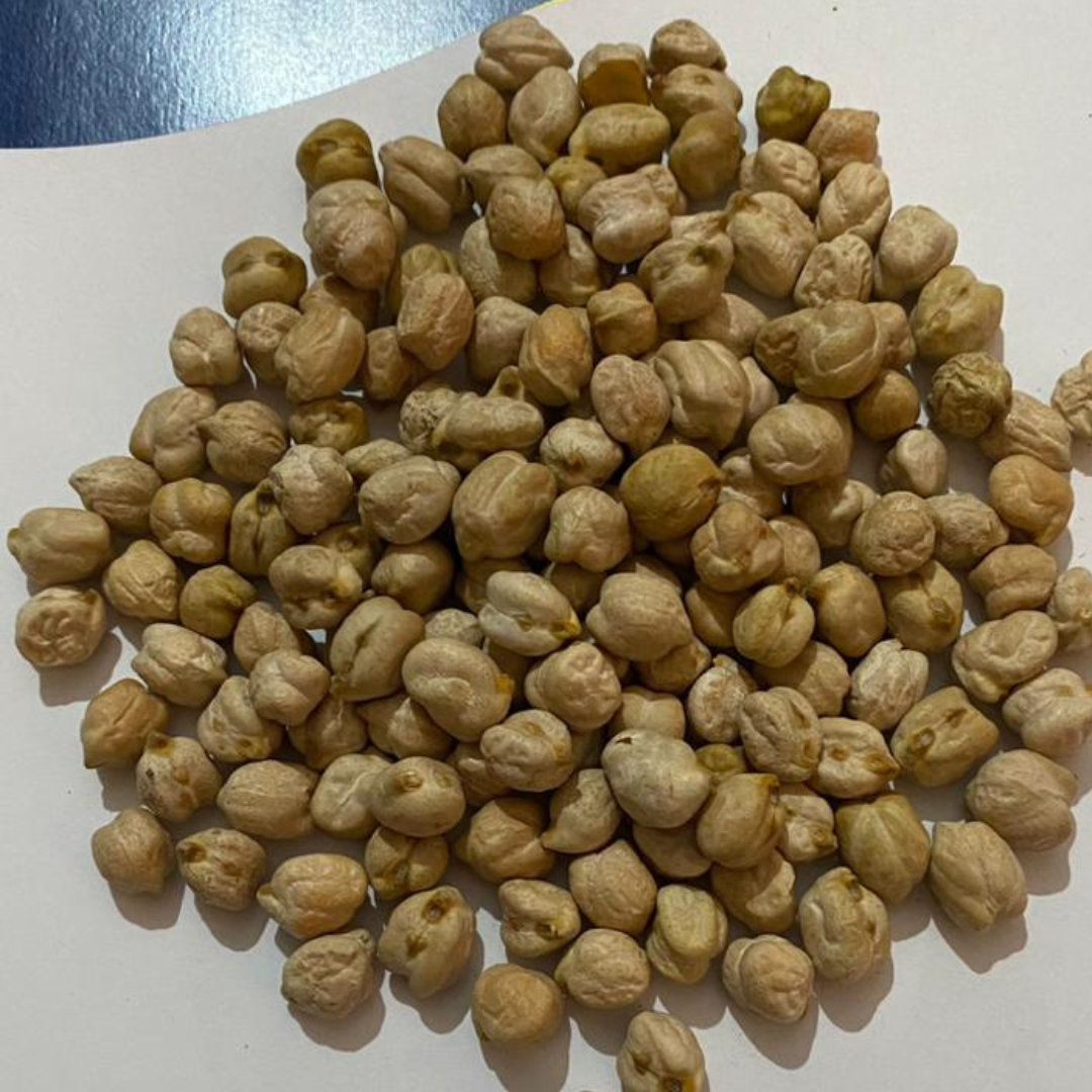 Your paragraph text (16).png